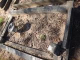 image of grave number 827350